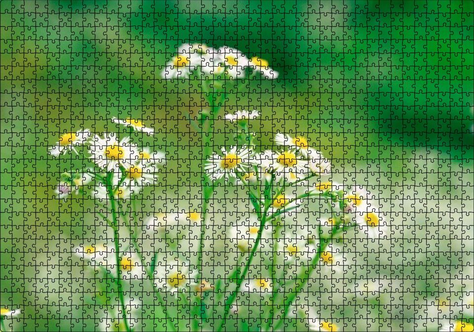 ar Flu Arkaplan Puzzle Yapboz MDF Ahşap 1000 Parça 49 cm X 68 cm