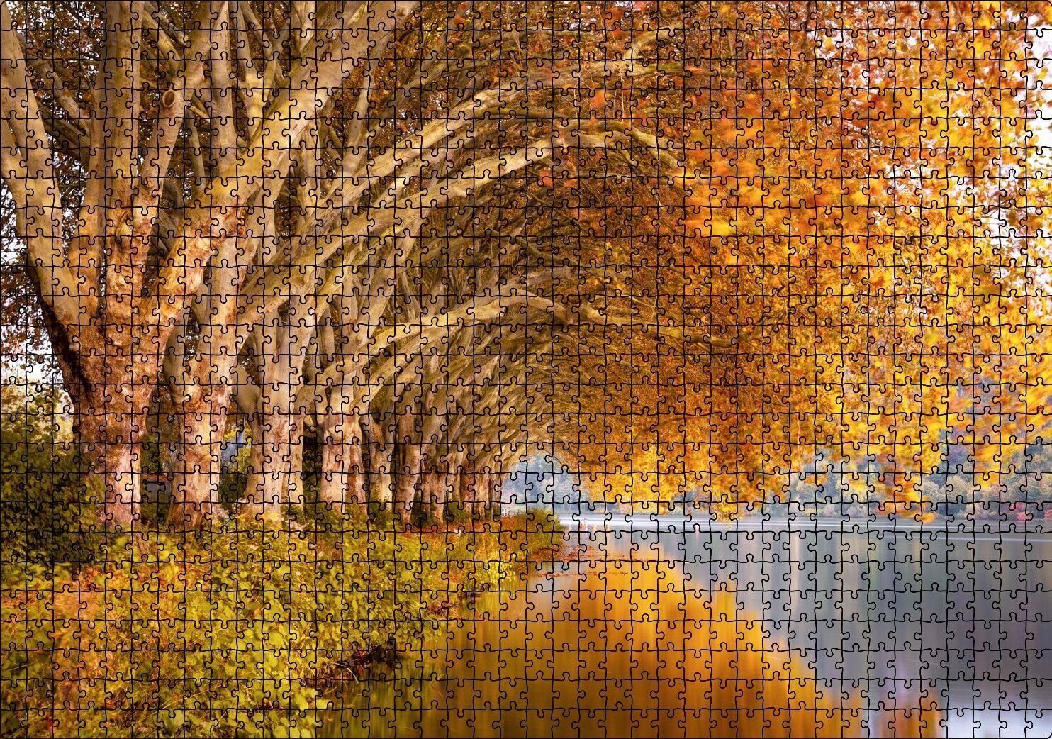 Sonbahar Rengi Ağaçlar ve Durgun Göl Puzzle Yapboz MDF Ahşap 1000 Parça 49 cm X 68 cm