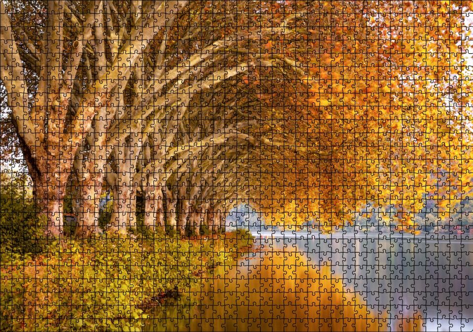 Sonbahar Rengi Ağaçlar ve Durgun Göl Puzzle Yapboz MDF Ahşap 1000 Parça 49 cm X 68 cm