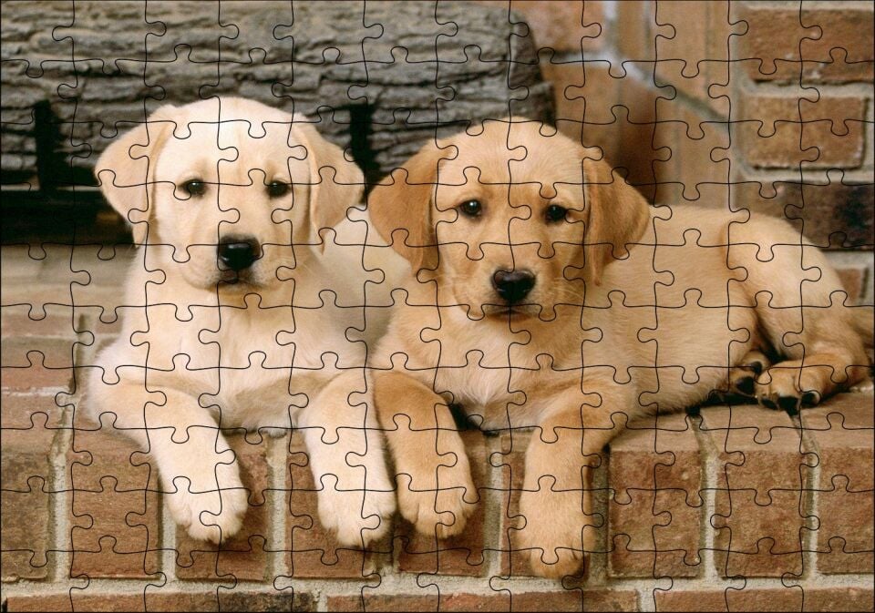 Şöminenin Önünde İki Labrador Yavrusu Puzzle Yapboz MDF Ahşap