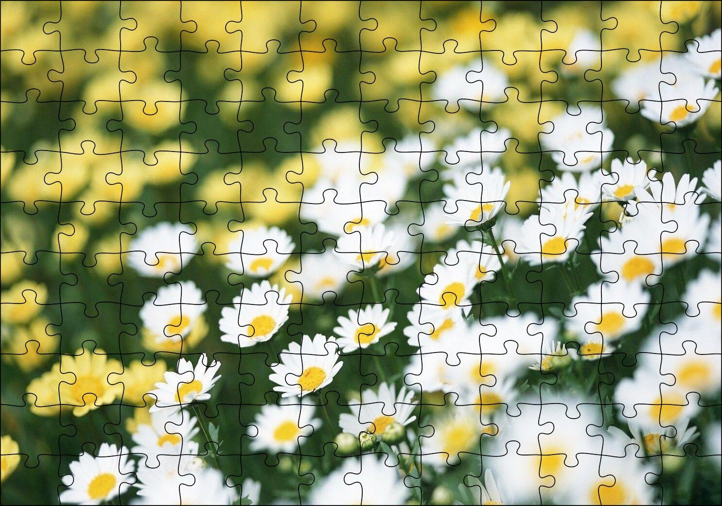 Beyaz Papatyalar ve Arkada Flu Sarı Papatyalar Puzzle Yapboz MDF Ahşap 120 Parça 24 cm X 34 cm