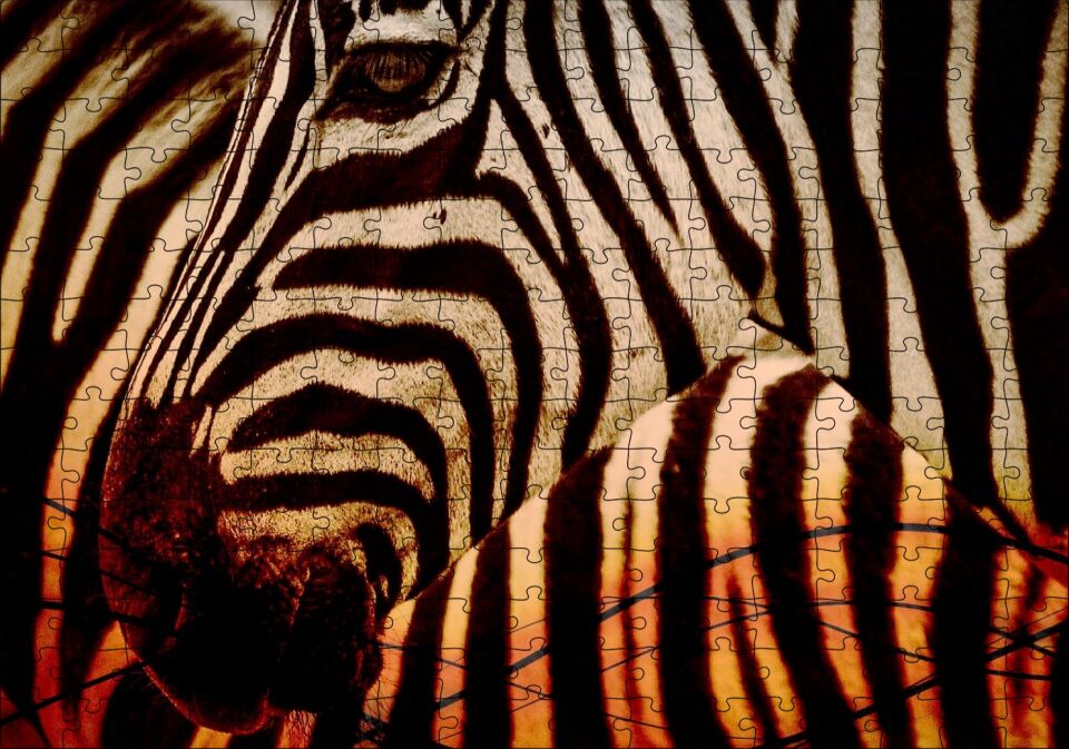 Günbatımında Zebra Desenleri Yakın Çekim Puzzle Yapboz MDF Ahşap 255 Parça 34 cm X 49 cm