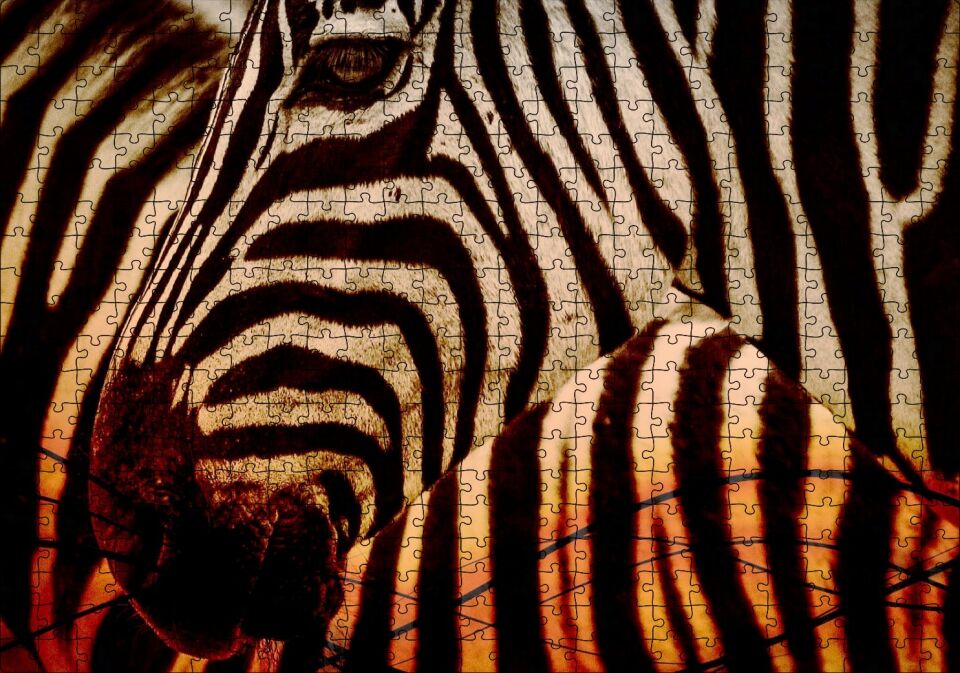 Günbatımında Zebra Desenleri Yakın Çekim Puzzle Yapboz MDF Ahşap 500 Parça 49 cm X 68 cm