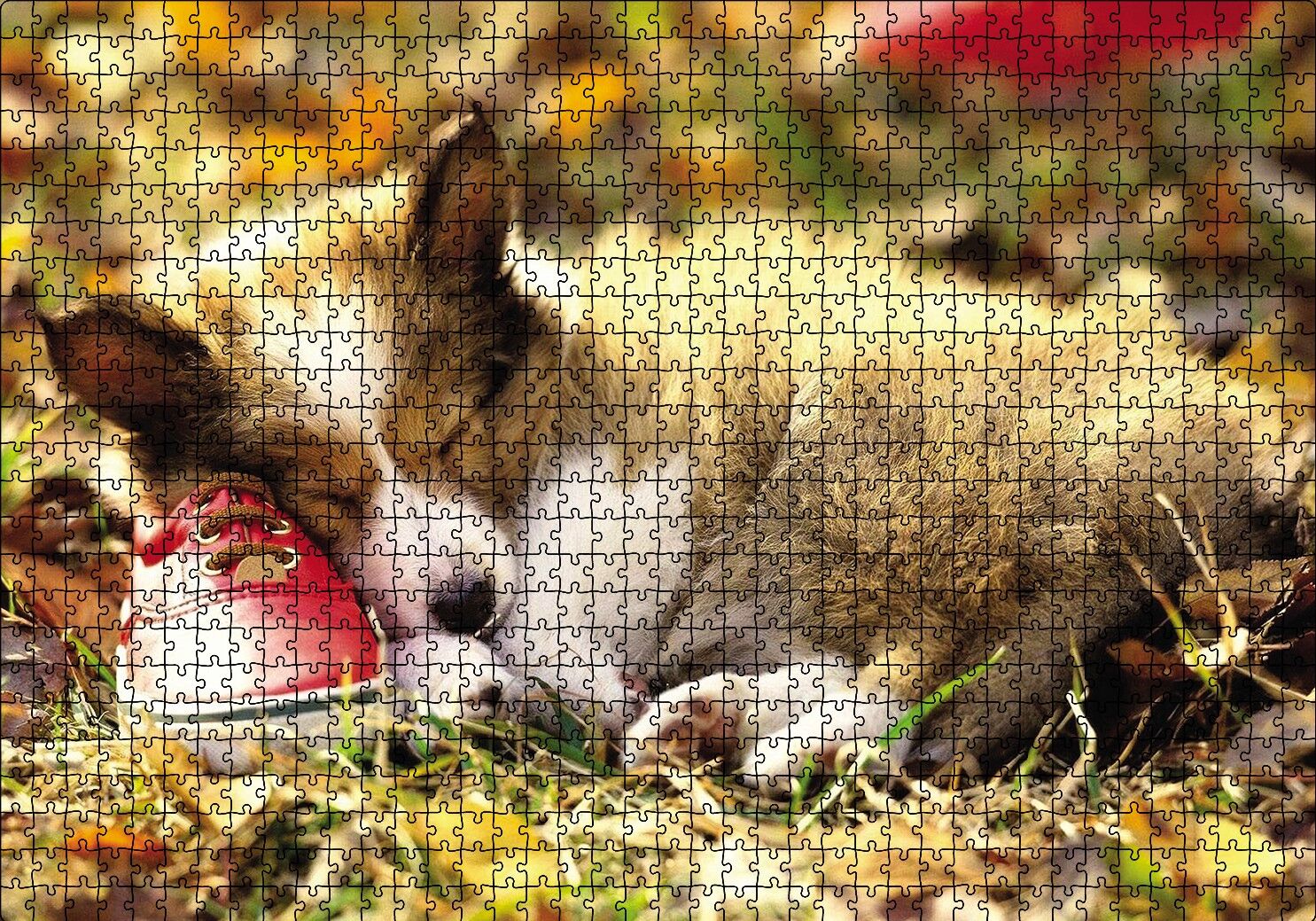 Uyuyan Yavru Köpek Puzzle Yapboz MDF Ahşap 1000 Parça 49 cm X 68 cm