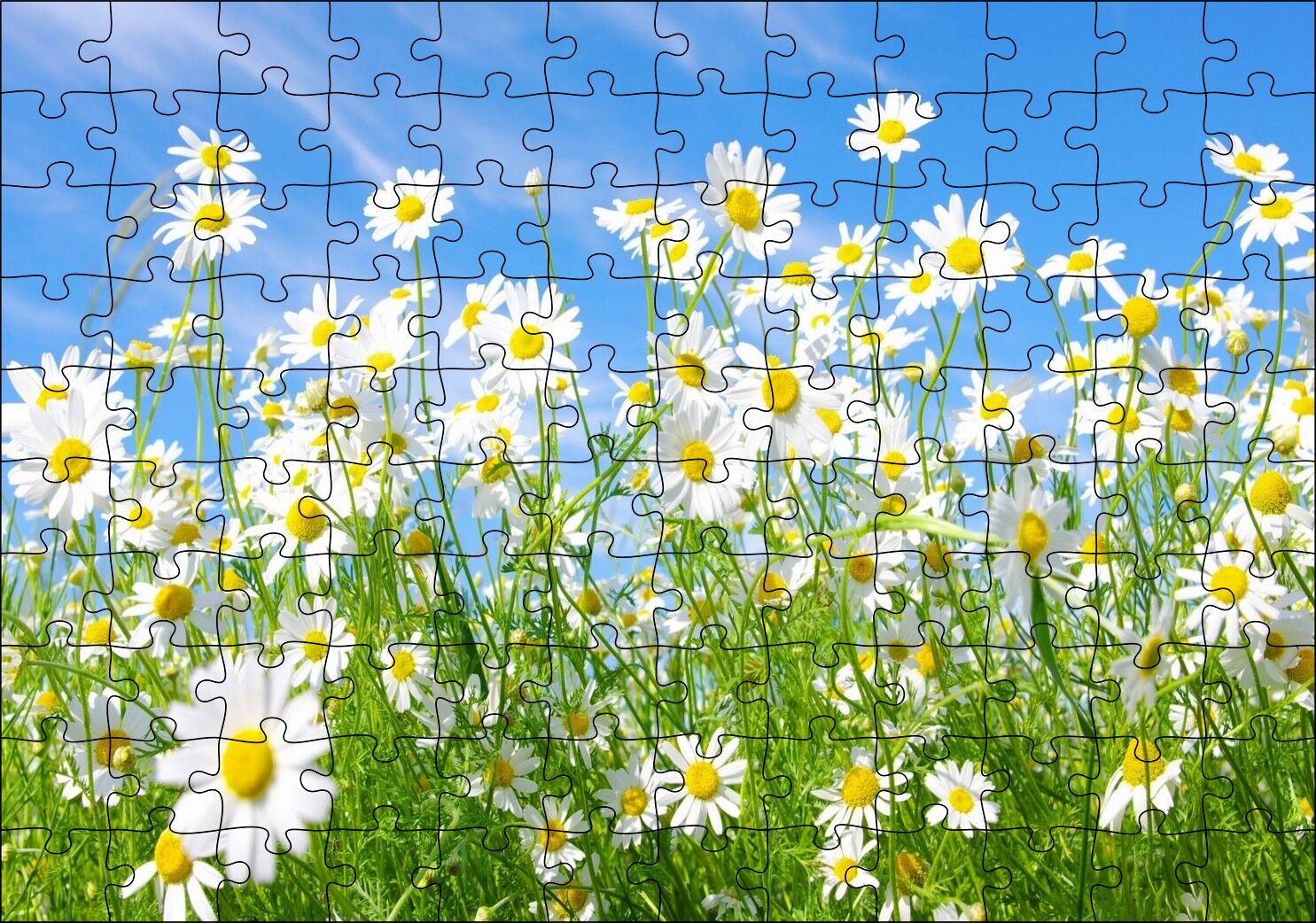Beyaz Papatyalar ve Mavi Gökyüzü Puzzle Yapboz MDF Ahşap 120 Parça 24 cm X 34 cm