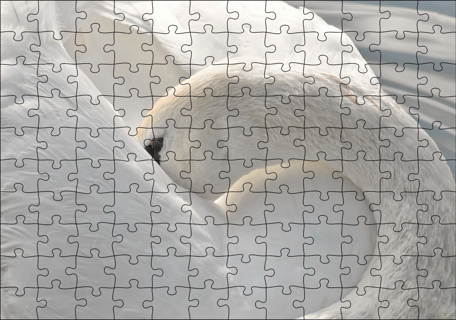 Tüylerini Temizleyen Zarif Beyaz Kuğu Puzzle Yapboz MDF Ahşap 120 Parça 24 cm X 34 cm