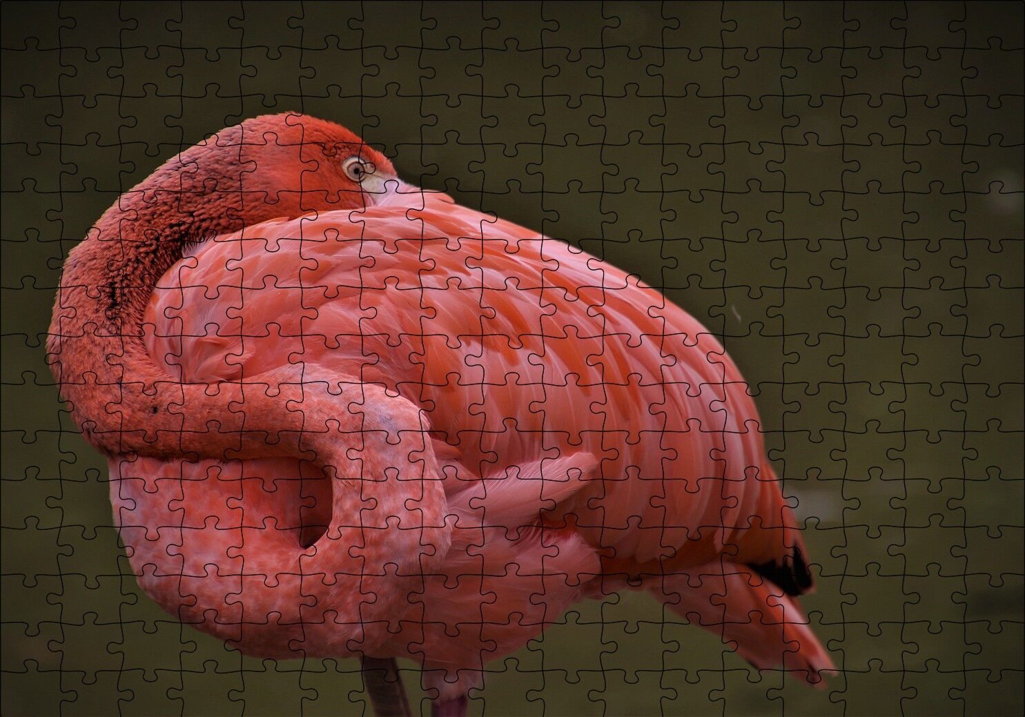 Kendine Sarılan Flamingo Puzzle Yapboz MDF Ahşap 255 Parça 34 cm X 49 cm