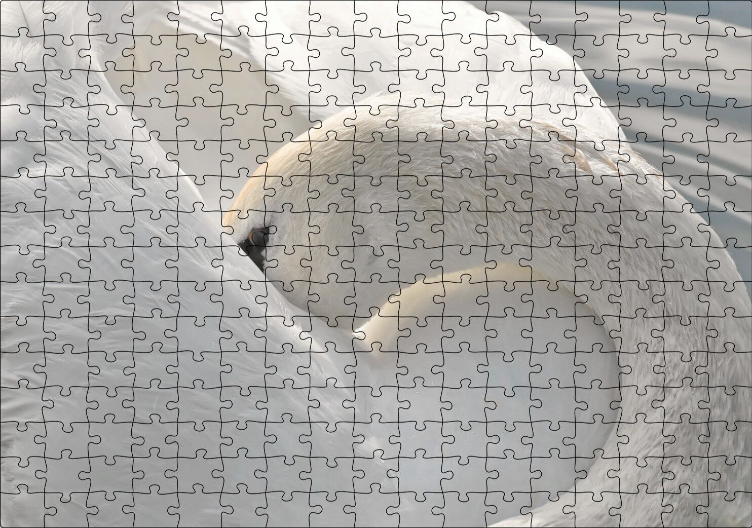 Tüylerini Temizleyen Zarif Beyaz Kuğu Puzzle Yapboz MDF Ahşap 255 Parça 34 cm X 49 cm