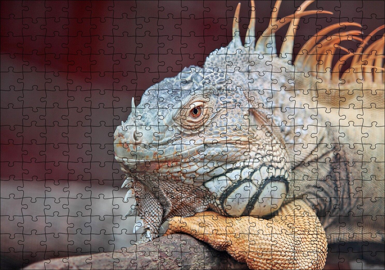 Dal Üzerinde Dinlenen Dev Kertenkele Puzzle Yapboz MDF Ahşap 255 Parça 34 cm X 49 cm