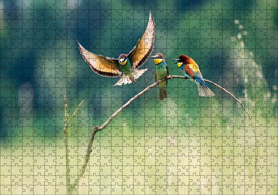 Bir Dalda Renkli Kuşlar Puzzle Yapboz MDF Ahşap 500 Parça 49 cm X 68 cm