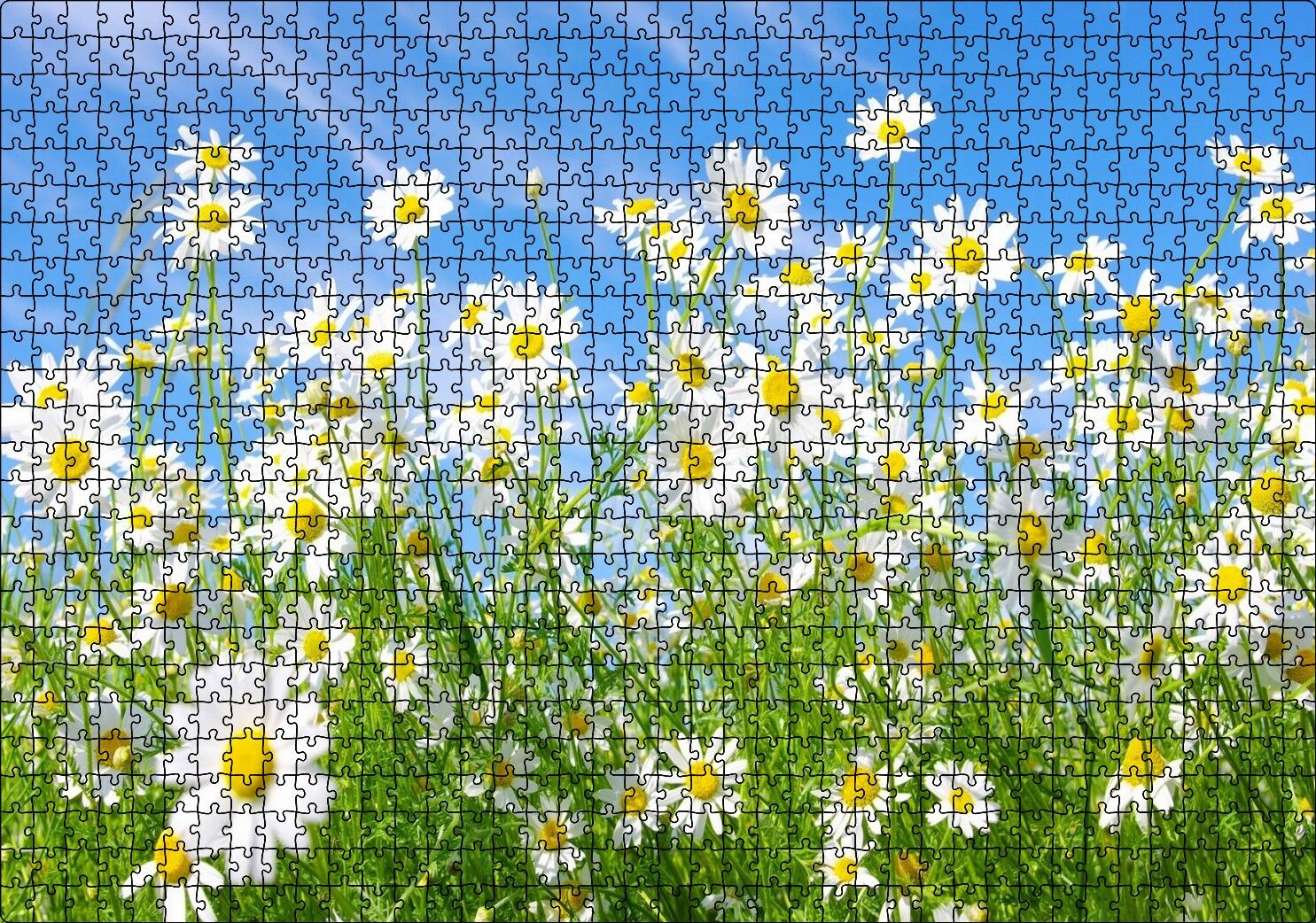 Beyaz Papatyalar ve Mavi Gökyüzü Puzzle Yapboz MDF Ahşap 1000 Parça 49 cm X 68 cm