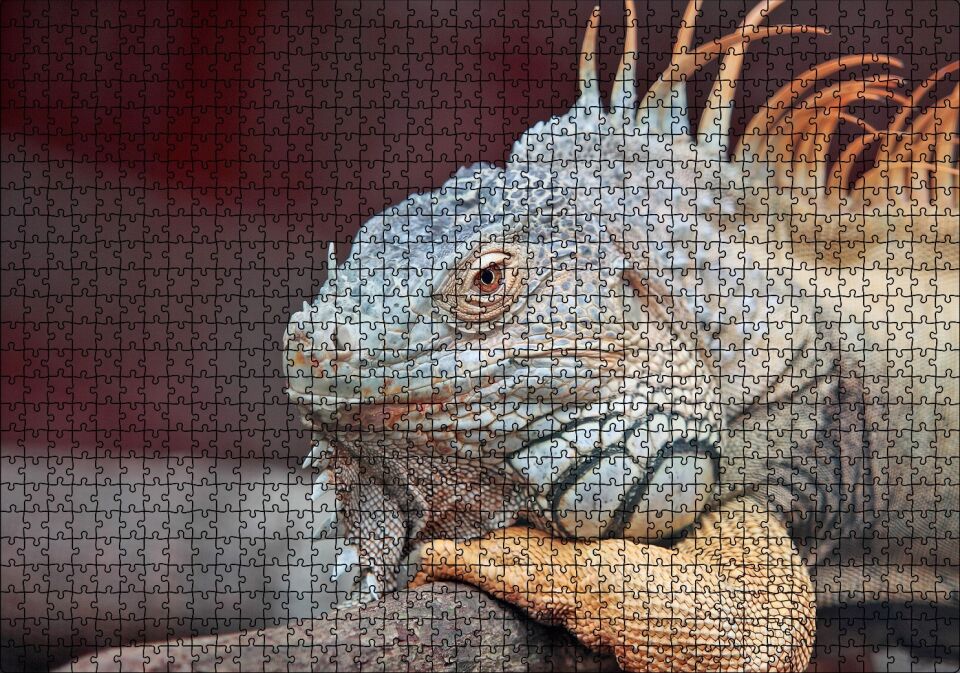 Dal Üzerinde Dinlenen Dev Kertenkele Puzzle Yapboz MDF Ahşap 1000 Parça 49 cm X 68 cm