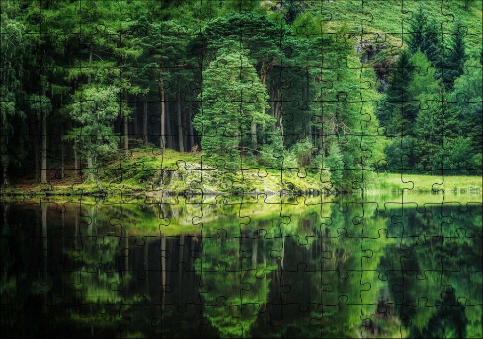 Su ve Yeşilin İnanılmaz Buluşması Puzzle Yapboz MDF Ahşap