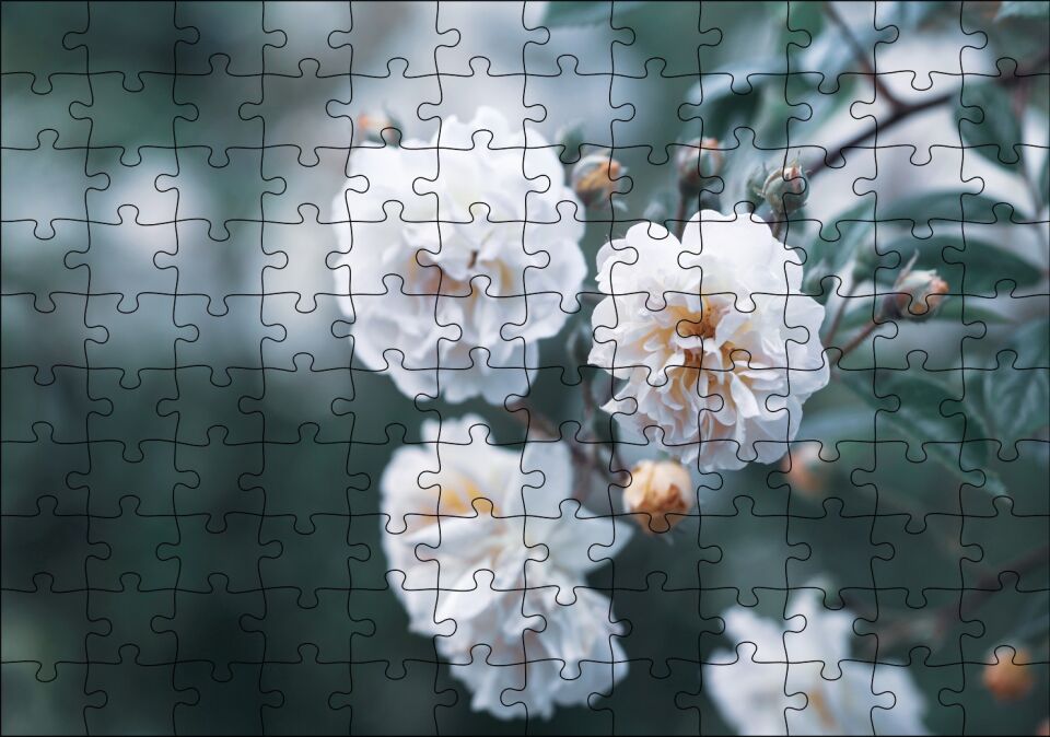 Dalda Beyaz Çiçekler Flu Arka Plan Puzzle Yapboz MDF Ahşap 120 Parça 24 cm X 34 cm