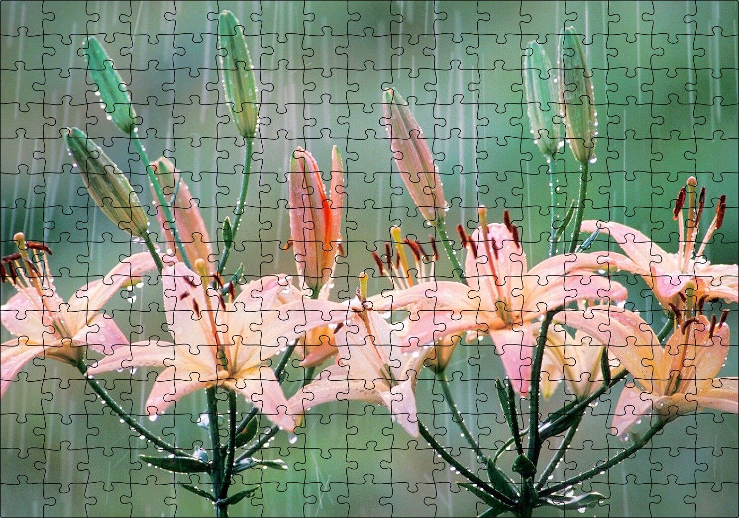 Yağmur Ve Zambak Yaprakları Puzzle Yapboz MDF Ahşap 255 Parça 34 cm X 49 cm