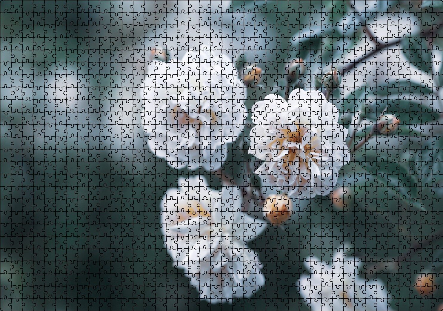 Dalda Beyaz Çiçekler Flu Arka Plan Puzzle Yapboz MDF Ahşap 1000 Parça 49 cm X 68 cm
