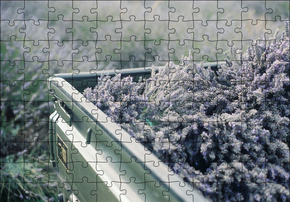 Kasada Lavantalar Puzzle Yapboz MDF Ahşap