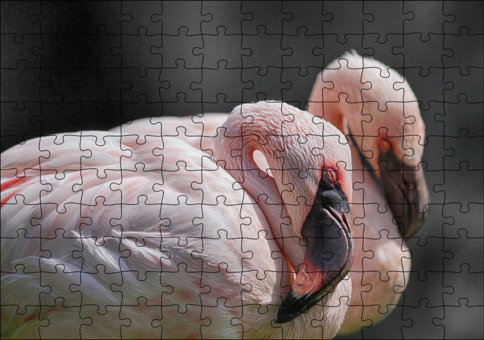 Uyuklayan Bir Çift Flamingo Puzzle Yapboz MDF Ahşap 120 Parça 24 cm X 34 cm