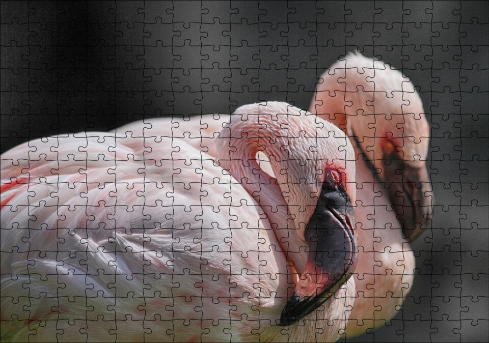 Uyuklayan Bir Çift Flamingo Puzzle Yapboz MDF Ahşap 255 Parça 34 cm X 49 cm