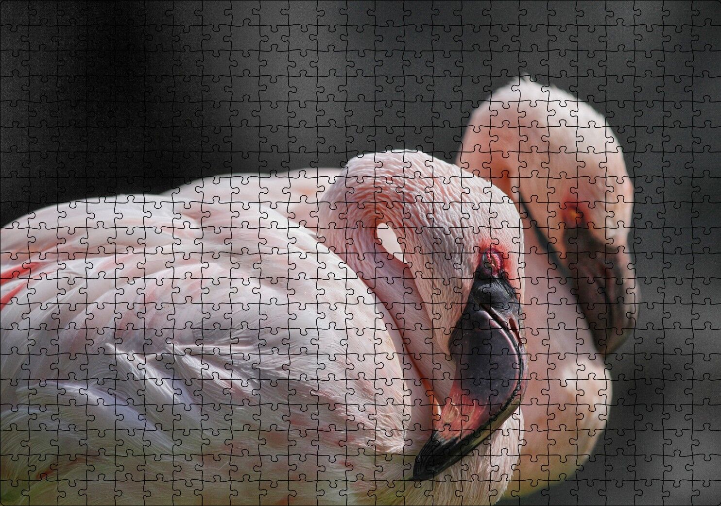 Uyuklayan Bir Çift Flamingo Puzzle Yapboz MDF Ahşap 500 Parça 49 cm X 68 cm