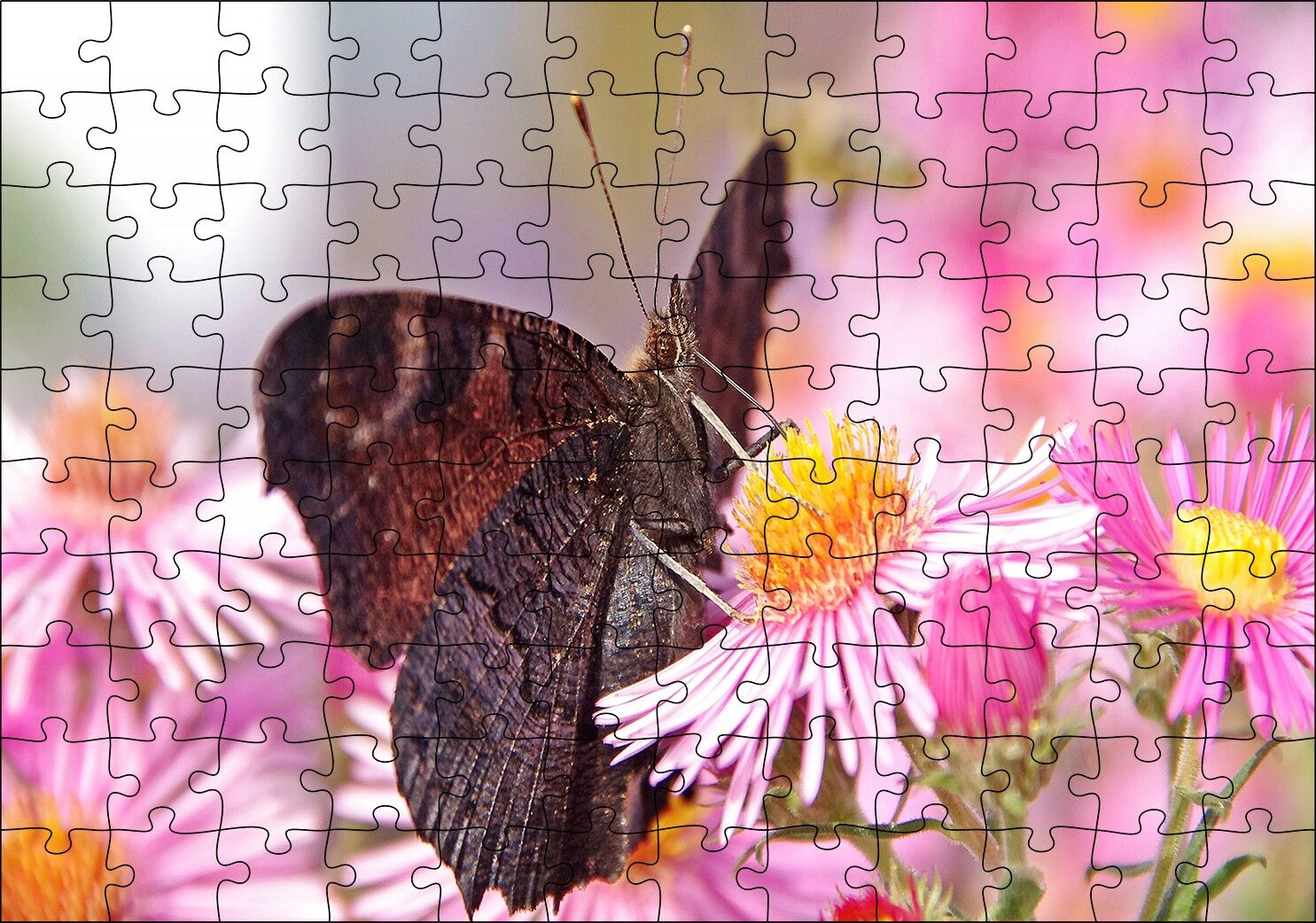 Mor Çiçeklerin Üzerindeki Kahverengi Kelebek Puzzle Yapboz MDF Ahşap 120 Parça 24 cm X 34 cm