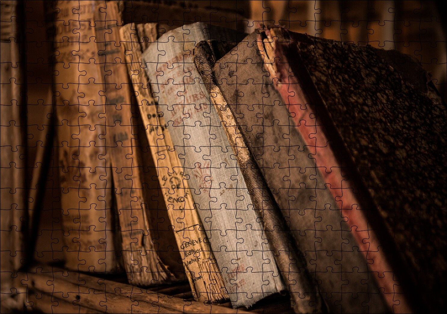 Kitaplıkta Eski Kitaplar Puzzle Yapboz MDF Ahşap 255 Parça 34 cm X 49 cm