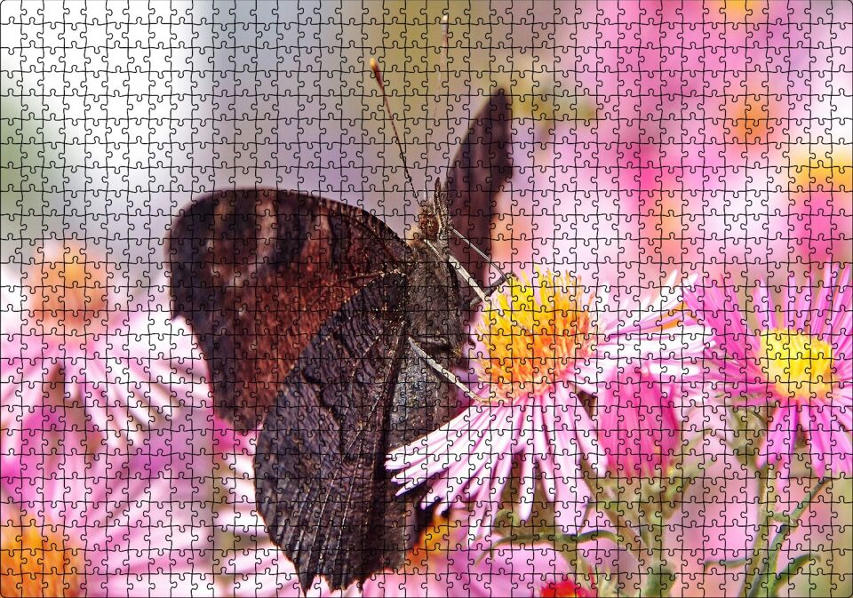 Mor Çiçeklerin Üzerindeki Kahverengi Kelebek Puzzle Yapboz MDF Ahşap 1000 Parça 49 cm X 68 cm