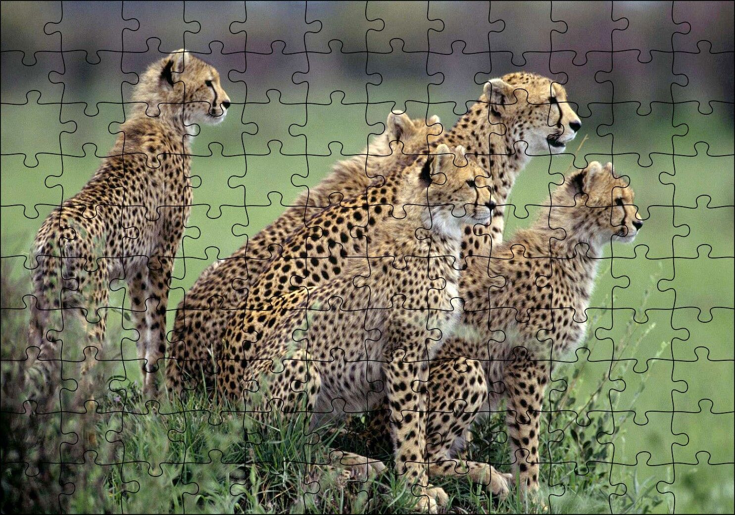 Yavrularına Eğitim Veren Anne Çita Puzzle Yapboz MDF Ahşap