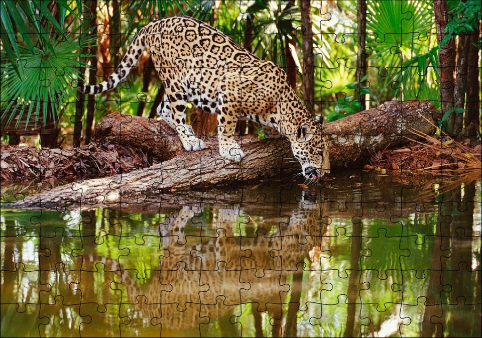 Ormanda Su İçen Leopar Görseli Puzzle Yapboz MDF Ahşap