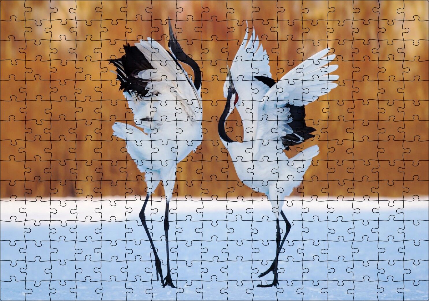 Japon Turna Dansı Görseli Puzzle Yapboz MDF Ahşap 255 Parça 34 cm X 49 cm