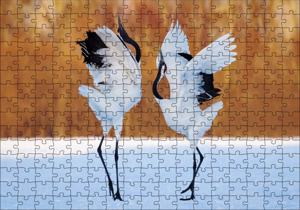 Japon Turna Dansı Görseli Puzzle Yapboz MDF Ahşap 255 Parça 34 cm X 49 cm