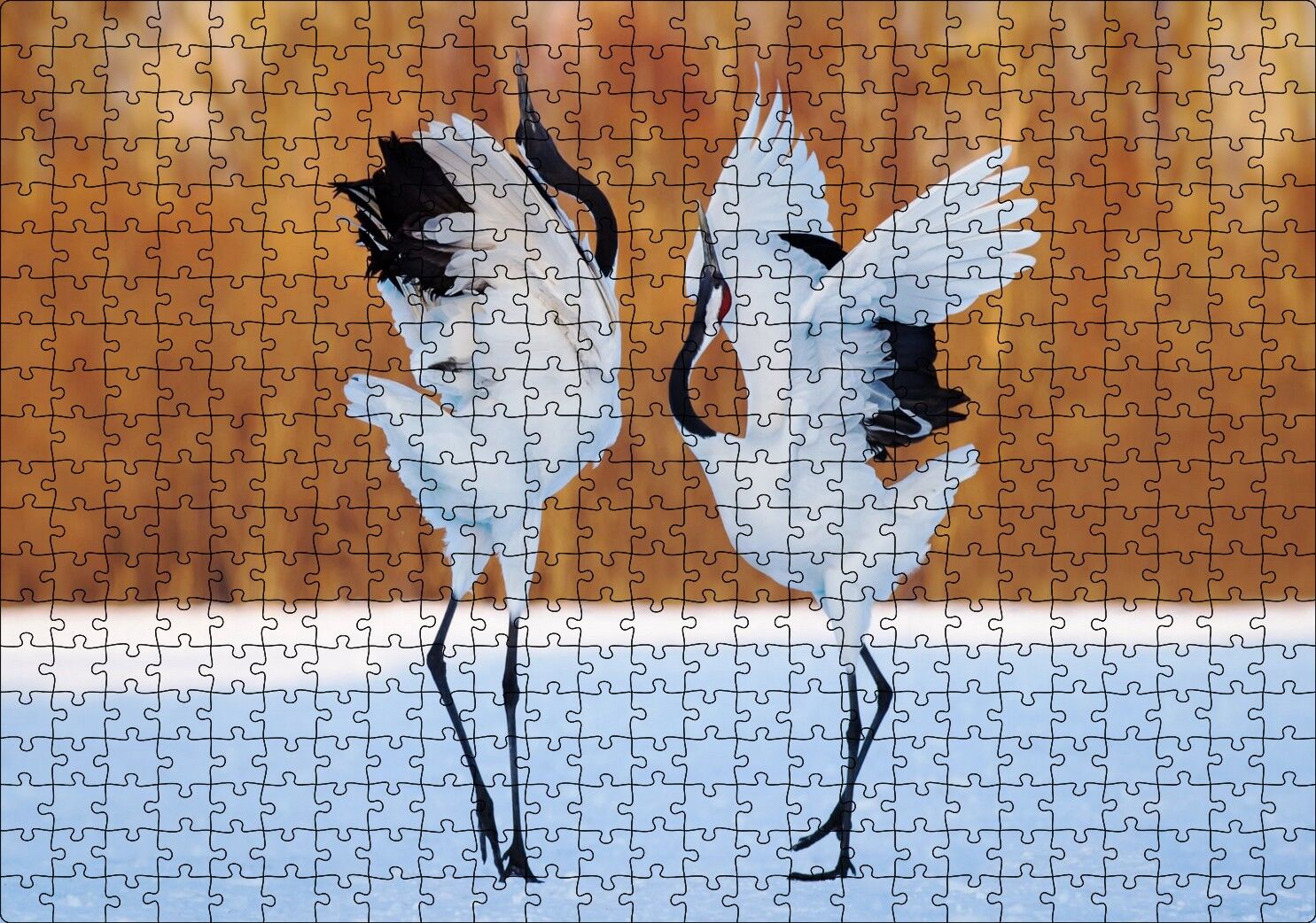 Japon Turna Dansı Görseli Puzzle Yapboz MDF Ahşap 500 Parça 49 cm X 68 cm