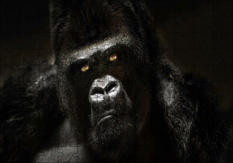 Parlak Gözler Goril Görseli Puzzle Yapboz MDF Ahşap