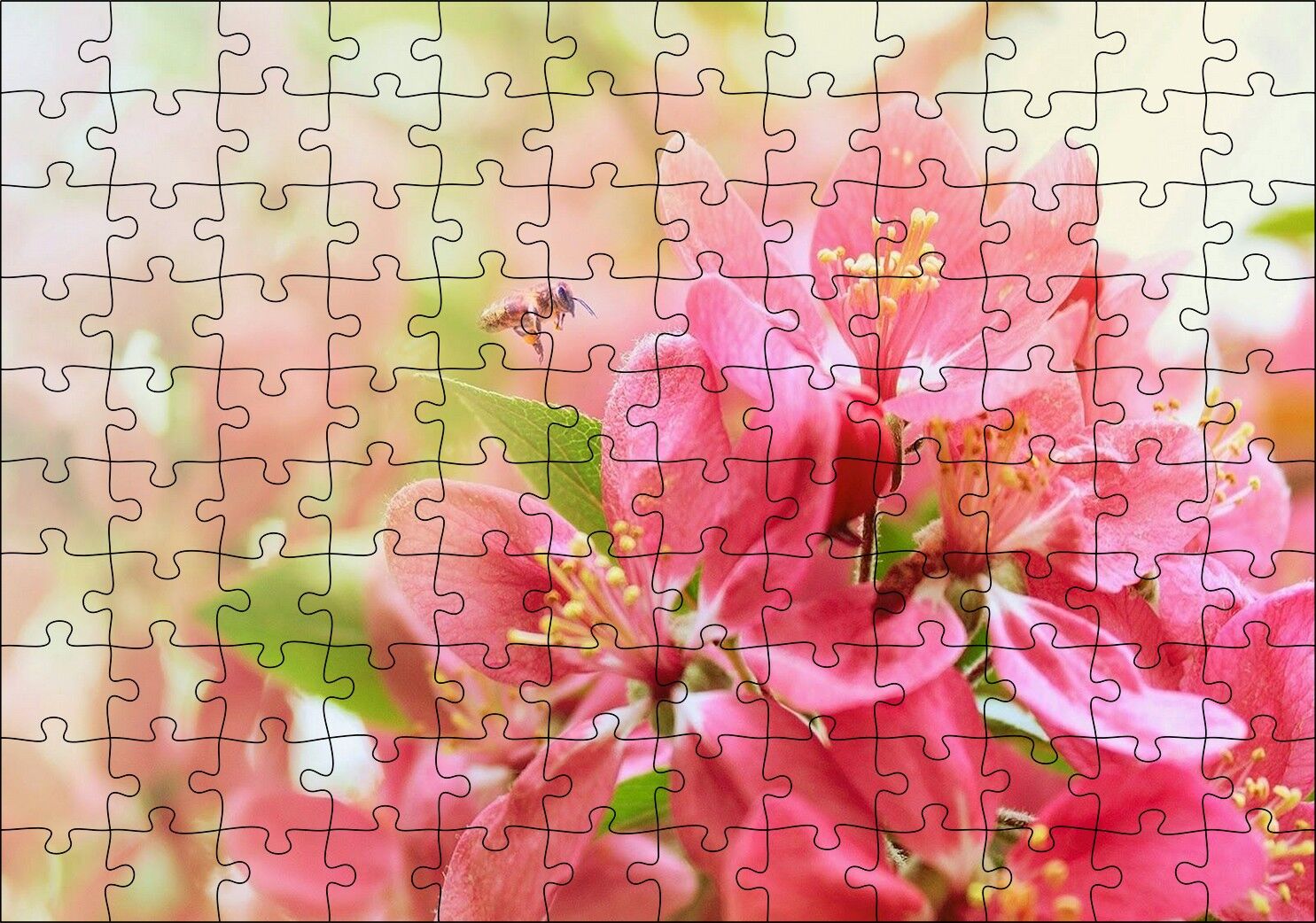 Pembe Elma Çiçeği Görseli Puzzle Yapboz MDF Ahşap
