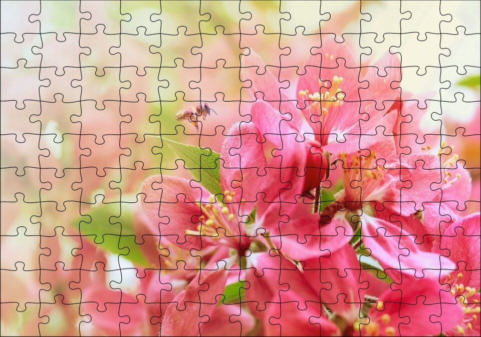 Pembe Elma Çiçeği Görseli Puzzle Yapboz MDF Ahşap