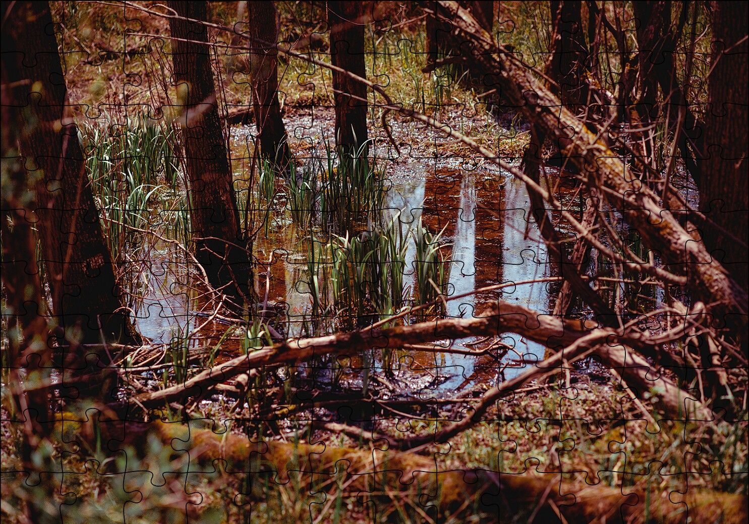 Orman ve Su Bir Arada Puzzle Yapboz MDF Ahşap