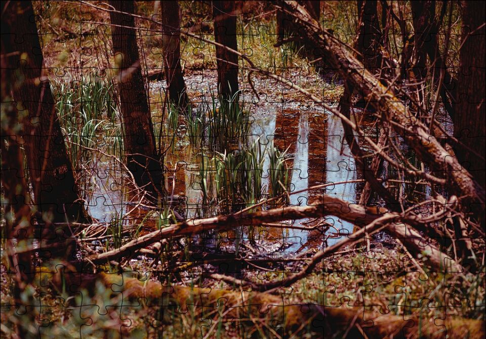 Orman ve Su Bir Arada Puzzle Yapboz MDF Ahşap