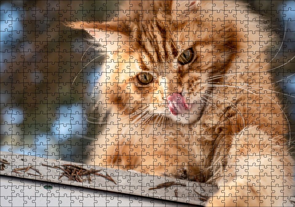 Yalanan Sarı Sevimli Kedi Puzzle Yapboz MDF Ahşap 500 Parça 49 cm X 68 cm
