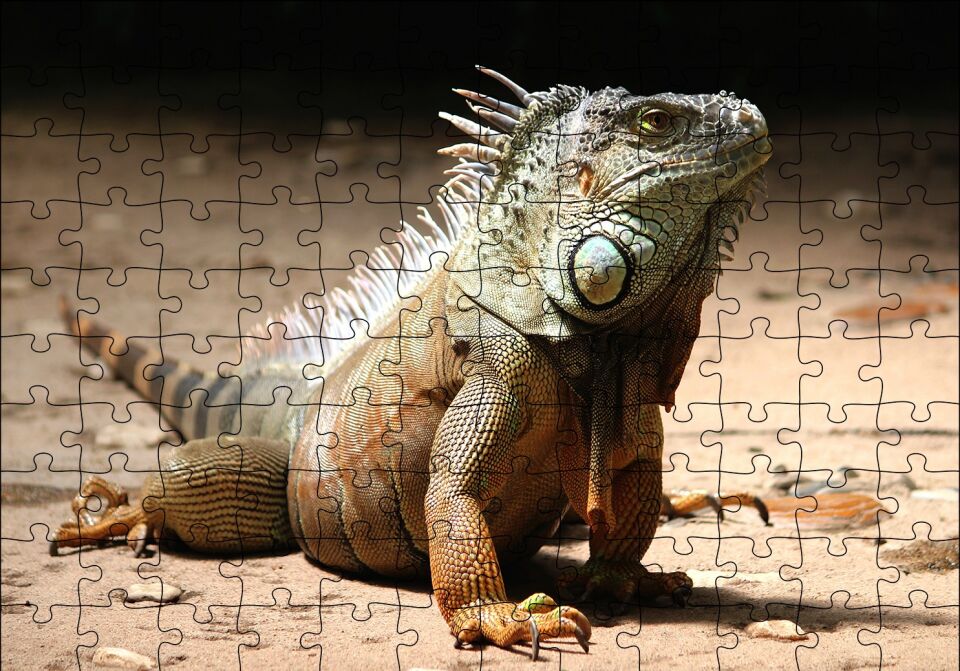 Kumlar Üzerinde Görkemli İguana Puzzle Yapboz MDF Ahşap 120 Parça 24 cm X 34 cm