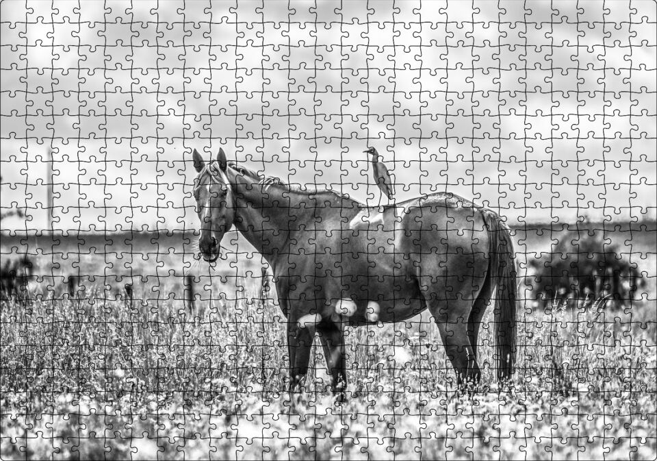 Çayırda Otlayan Aygır ve Sırtındaki Kuş Puzzle Yapboz MDF Ahşap 500 Parça 49 cm X 68 cm