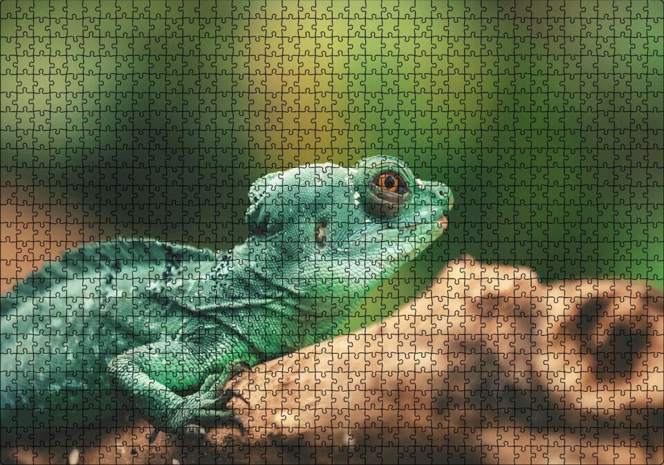 Mango Kökü Üzerindeki Yeşil Kertenkele Puzzle Yapboz MDF Ahşap 1000 Parça 49 cm X 68 cm
