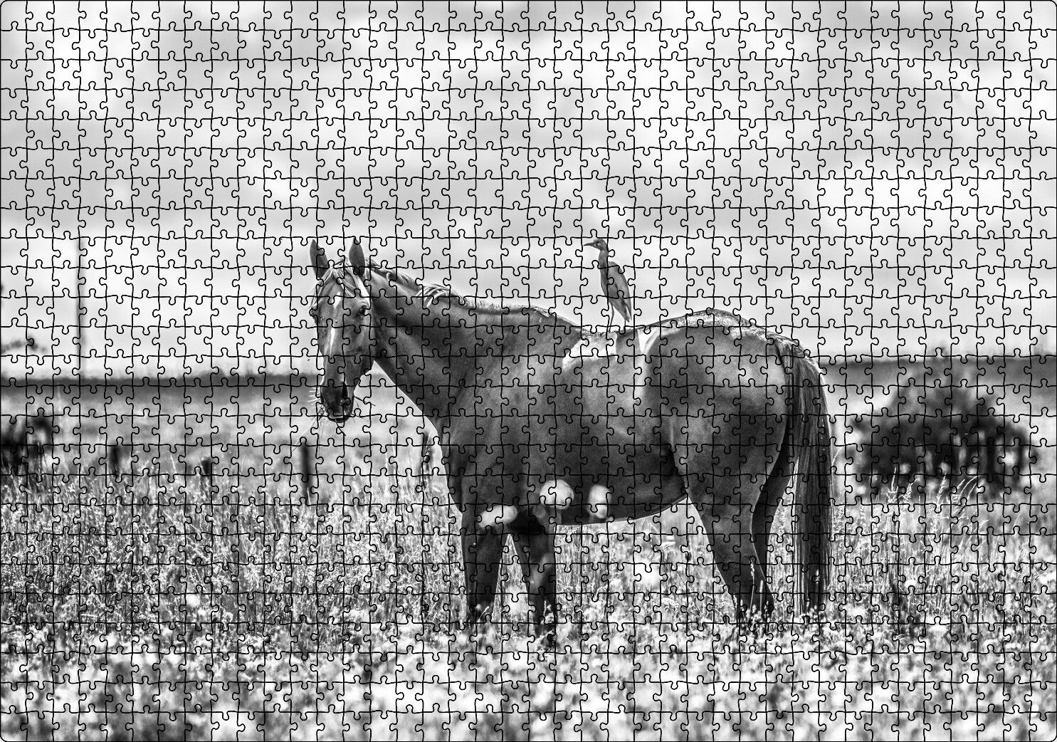 Çayırda Otlayan Aygır ve Sırtındaki Kuş Puzzle Yapboz MDF Ahşap 1000 Parça 49 cm X 68 cm