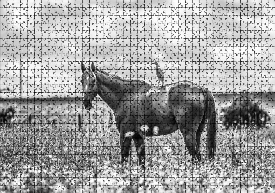 Çayırda Otlayan Aygır ve Sırtındaki Kuş Puzzle Yapboz MDF Ahşap 1000 Parça 49 cm X 68 cm