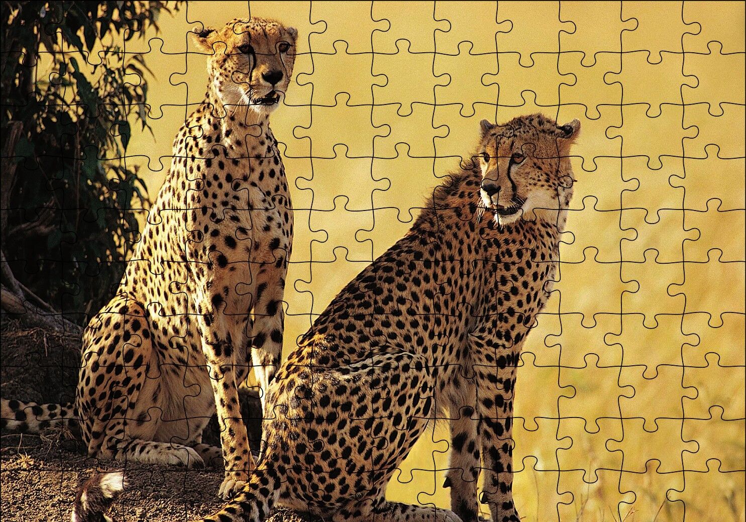 Çift Leopar Puzzle Yapboz MDF Ahşap