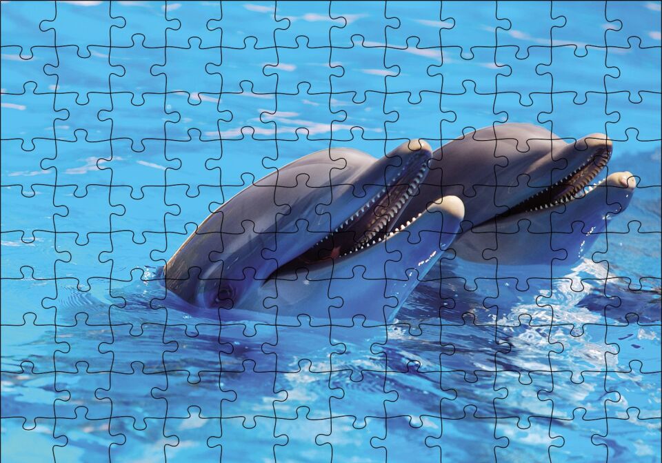 Çift Yunuslar Puzzle Yapboz MDF Ahşap