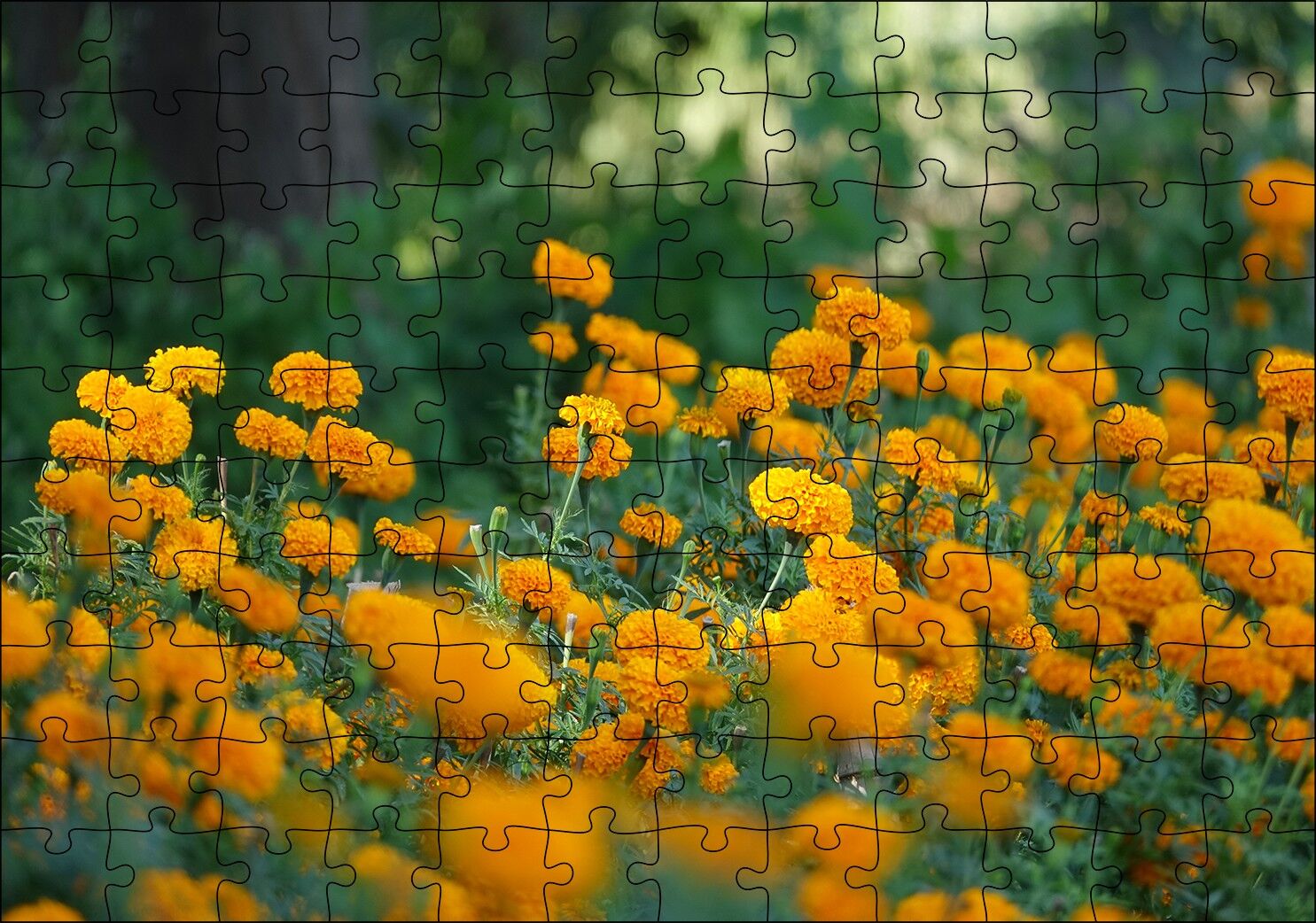 Sarı Çiçekli Çalılar Görseli Puzzle Yapboz MDF Ahşap