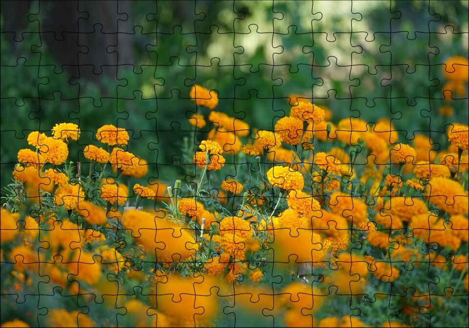 Sarı Çiçekli Çalılar Görseli Puzzle Yapboz MDF Ahşap