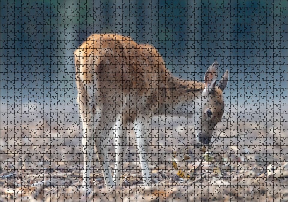 Yavru Geyik ve Yerde Kuru Yapraklar Puzzle Yapboz MDF Ahşap 1000 Parça 49 cm X 68 cm