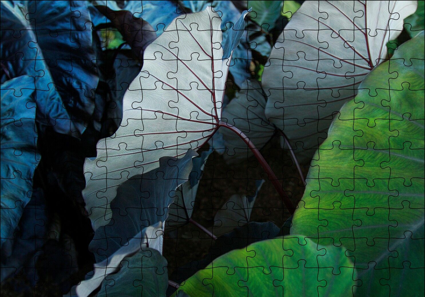 Renkli Dev Yapraklar Puzzle Yapboz MDF Ahşap