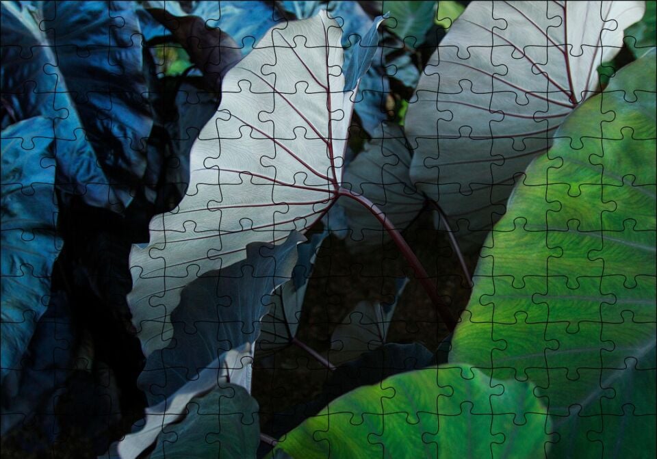 Renkli Dev Yapraklar Puzzle Yapboz MDF Ahşap